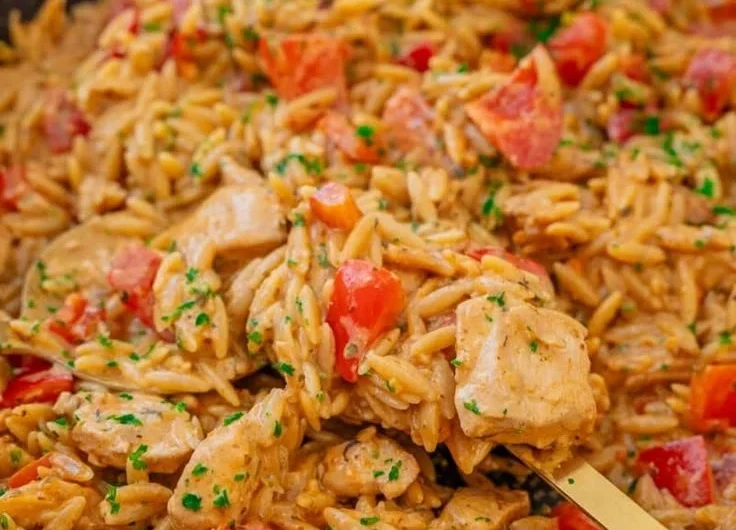 Köstliches Kritharaki Rezept mit Hähnchen und Paprika auf einem Teller serviert.