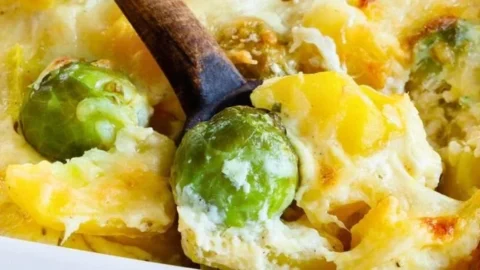 Rosenkohl-Kartoffel-Auflauf mit Käse überbacken, serviert in einer Auflaufform.