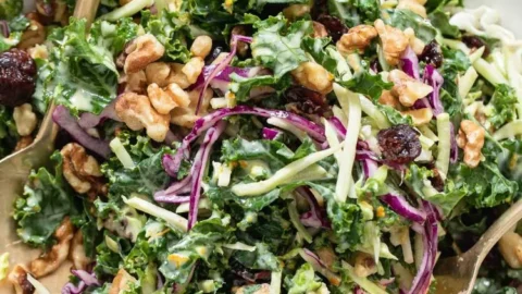 Cranberry-Kale-Salat mit Nüssen und frischem Grünkohl auf einem Teller serviert.