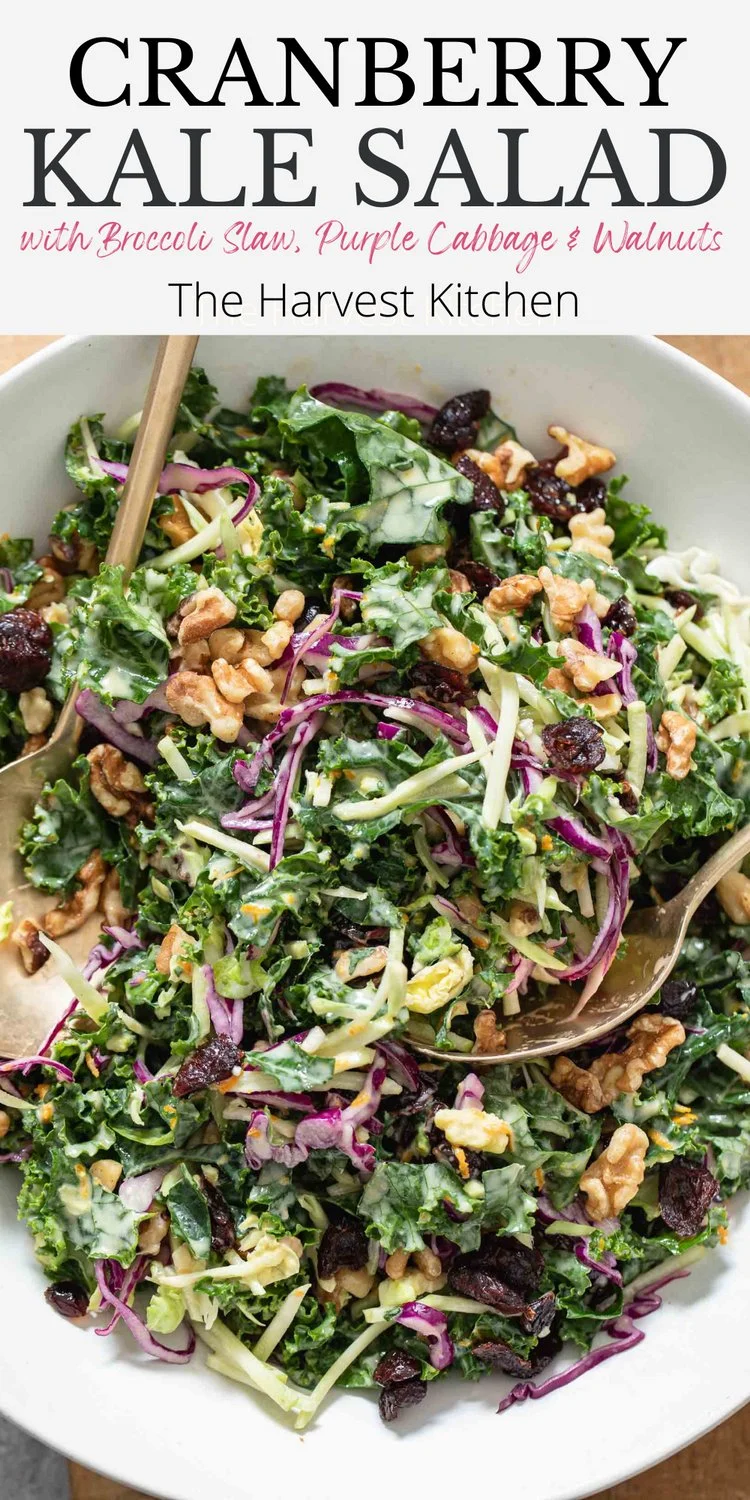 Cranberry-Kale-Salat mit Nüssen und frischem Grünkohl auf einem Teller serviert.