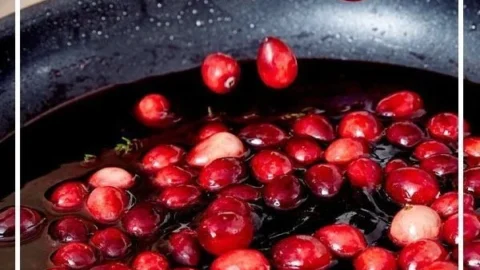 Selbstgemachte Cranberry-Sauce für Festtagsgerichte