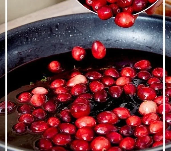 Selbstgemachte Cranberry-Sauce für Festtagsgerichte