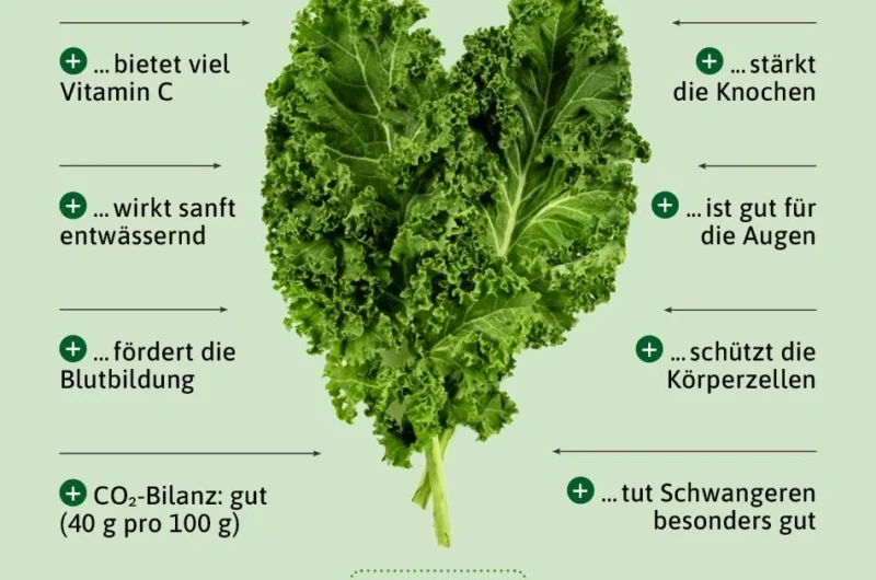Grünkohlgericht mit Würstchen und Kartoffeln auf dem Teller