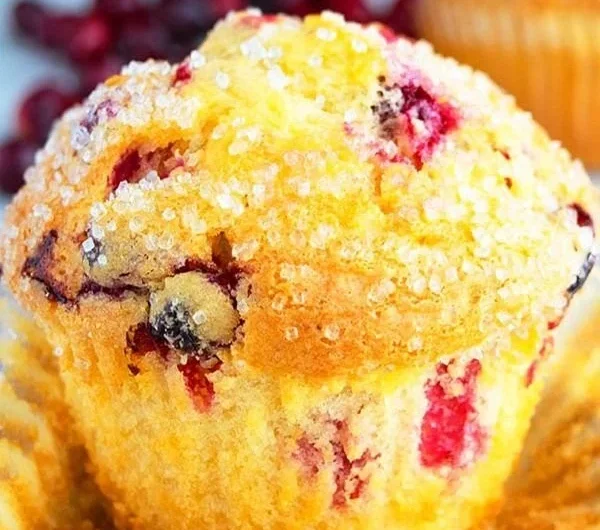 Saftige Orange Cranberry Muffins mit frischem Obst und herrlichem Aroma