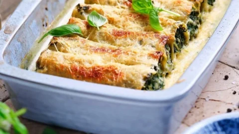 Vegane Grünkohl Cannelloni auf einem Teller serviert mit frischen Zutaten.